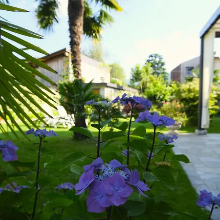 Residenza Laurum * Mandello del Lario